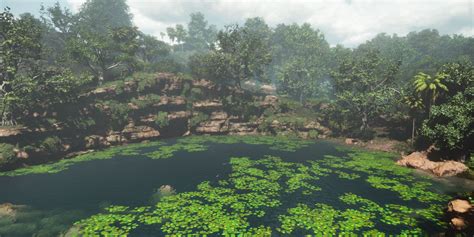 lily bay raceplay